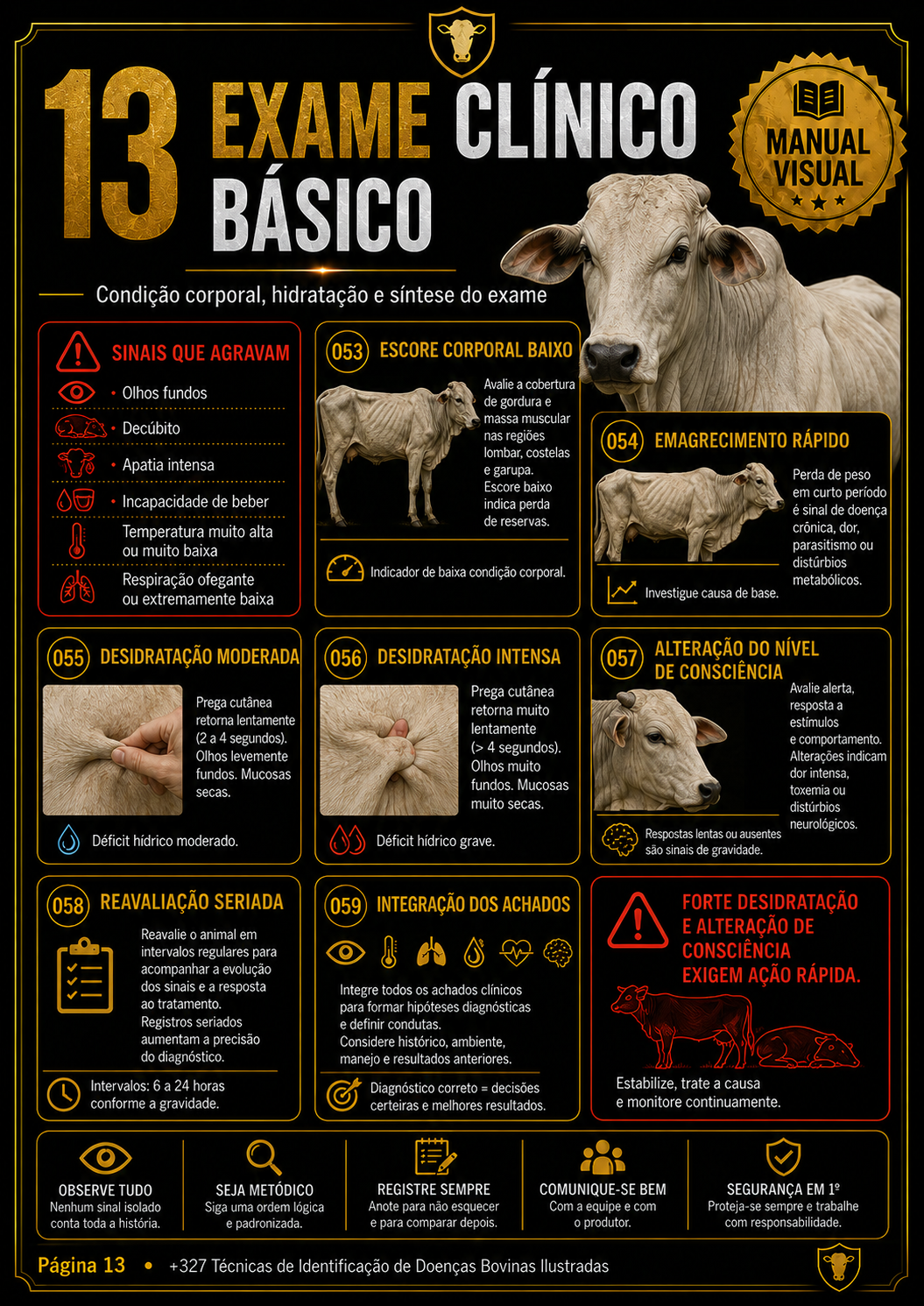 Página do manual 3