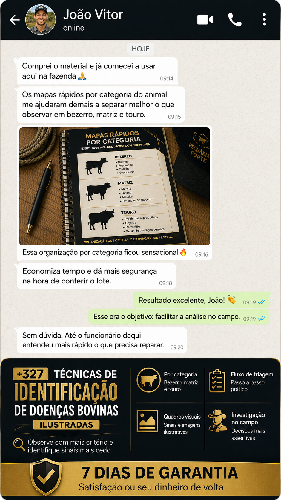 Depoimento 2