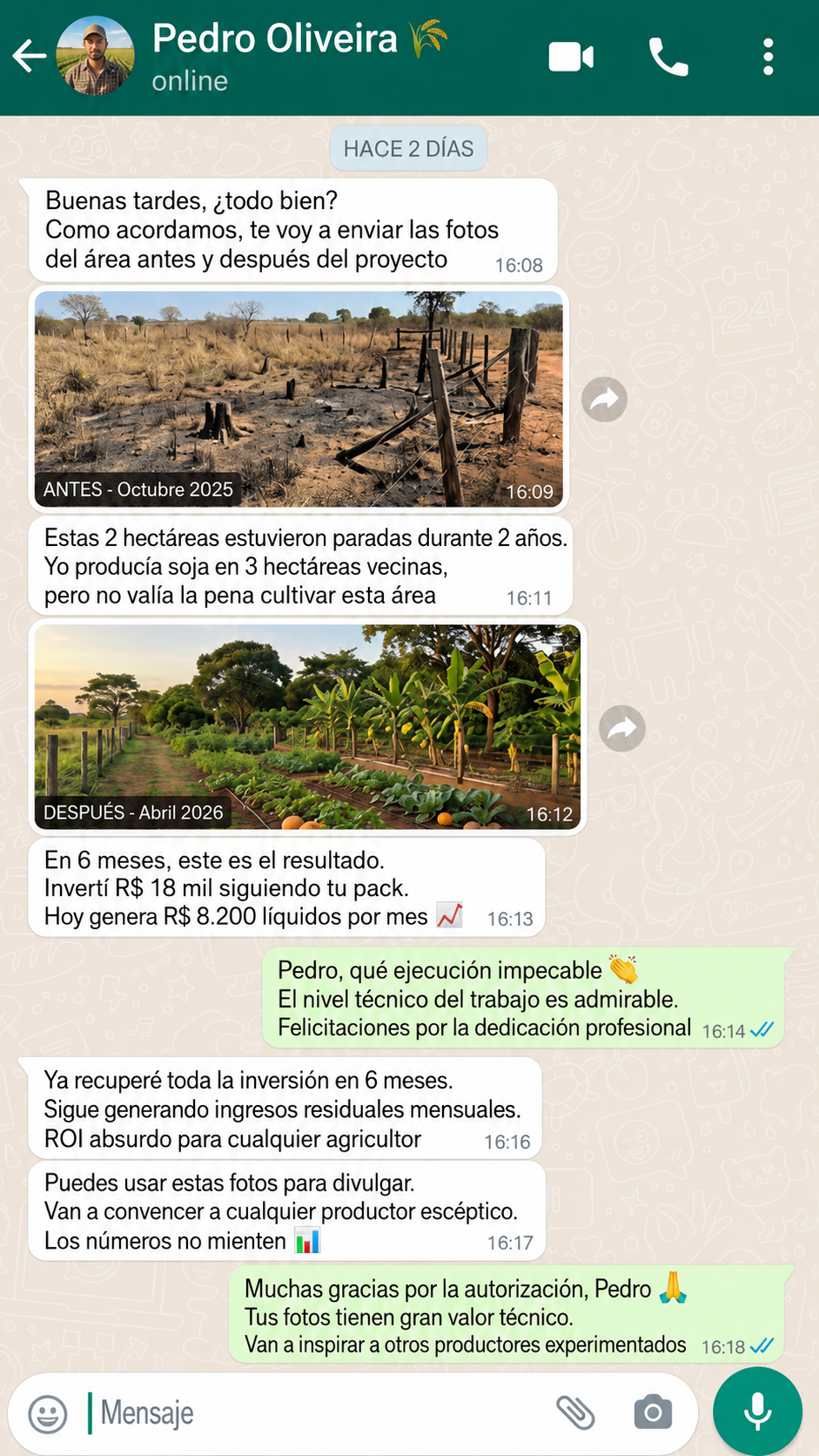 Testimonio 2